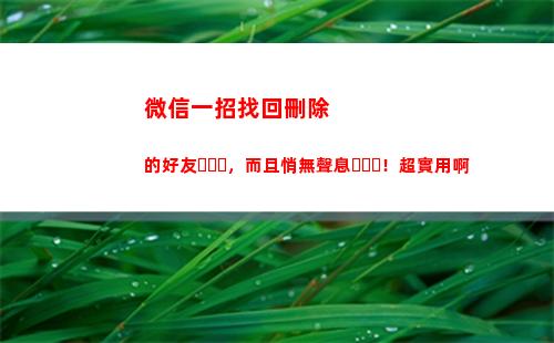 微信一招找回刪除的好友，而且悄無聲息！超實用啊(一招找回微信被清理文件)